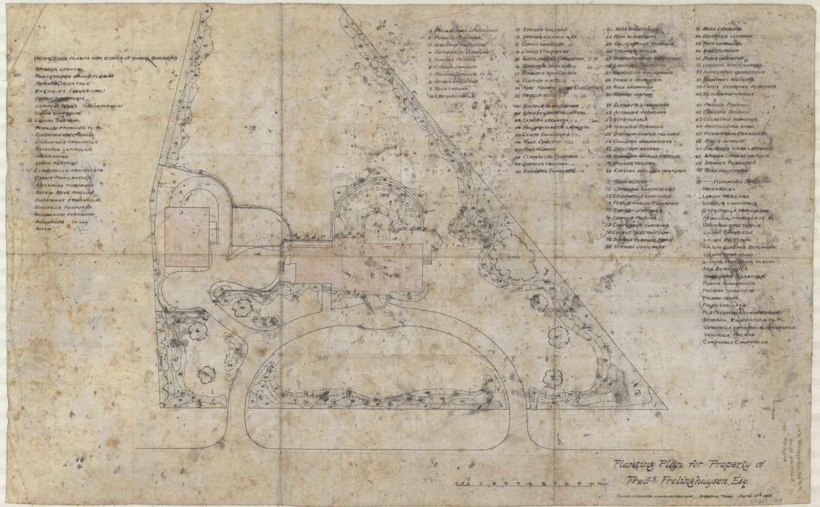 Planting plan with the list written out in longhand across the sheet, bed by bed. Olmsted job 01131.