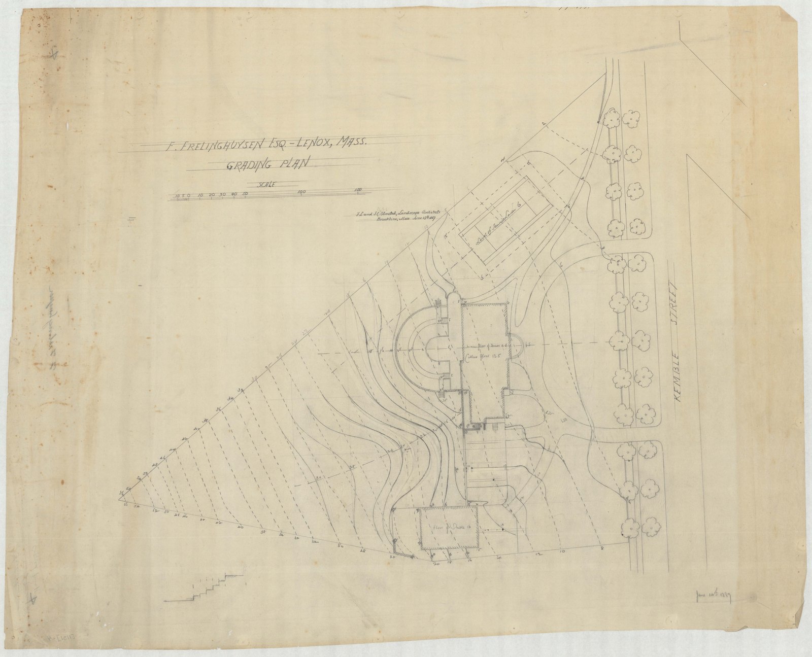 Study of the lot with the house set in it and the boundary planting drawn along Kemble Street. Olmsted job 01131.