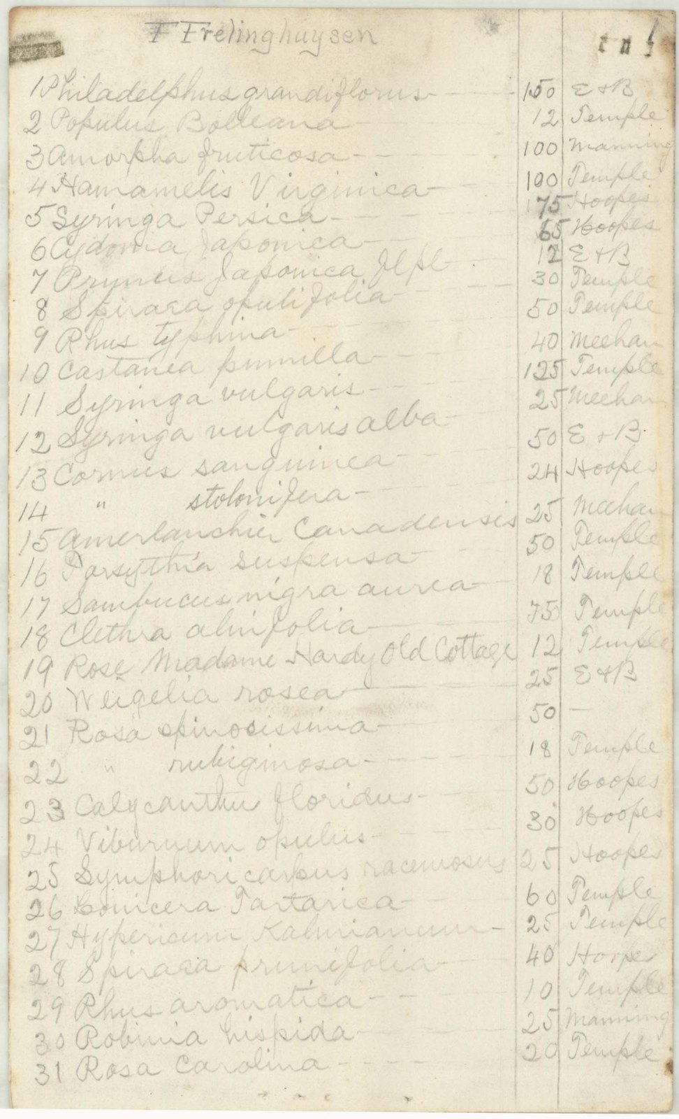 Plant order, page 1: species, quantity, and the nursery it is coming from. Olmsted job 01131.
