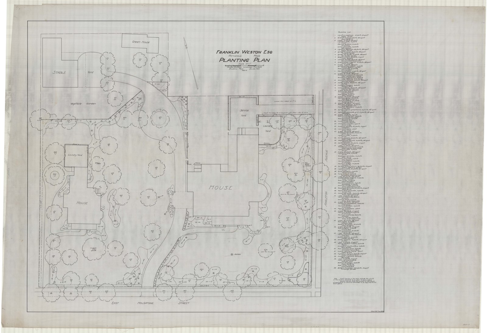 Plan 9, 30 January 1907. “FRANKLIN WESTON ESQ. / PITTSFIELD, MA. / PLANTING PLAN; SCALE 1”= 10’.” Sheet 42¼ by 62 inches. Inventory note: “OBLA, recto / Copy of # 6 / Planting List, 1-55 with standard planting note, recto / (Extensive notes recto.)”