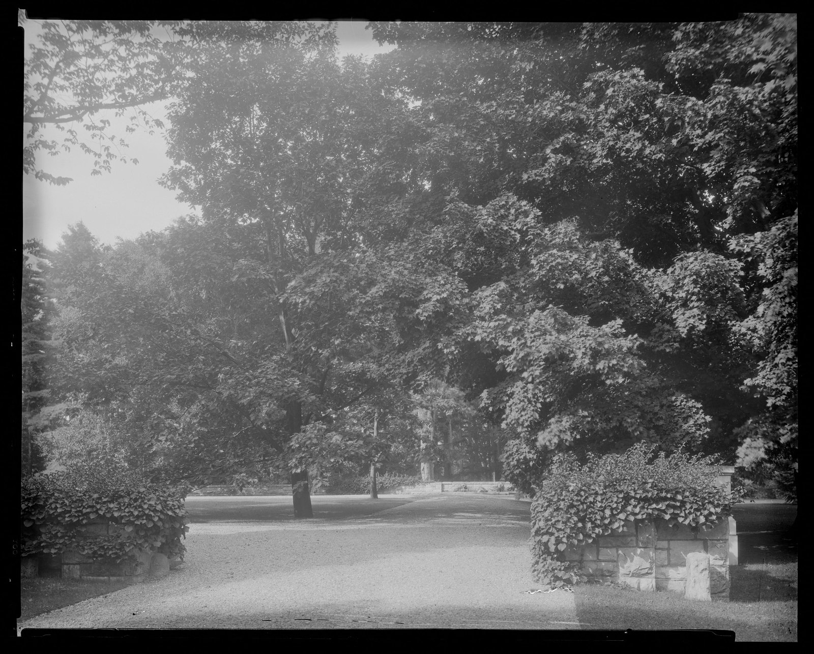 Groton Place: landscape. about 1930–1936.
