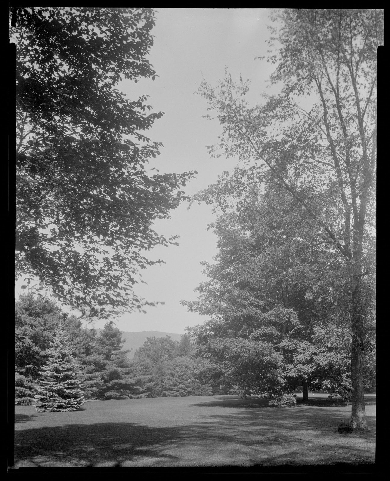 Groton Place: landscape. about 1930–1936.