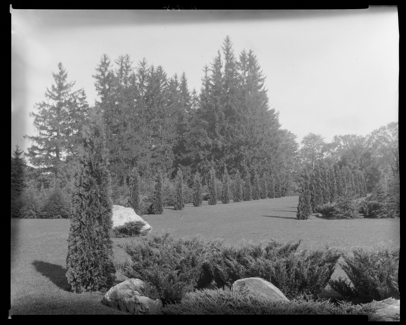 Groton Place: landscape. 1934.