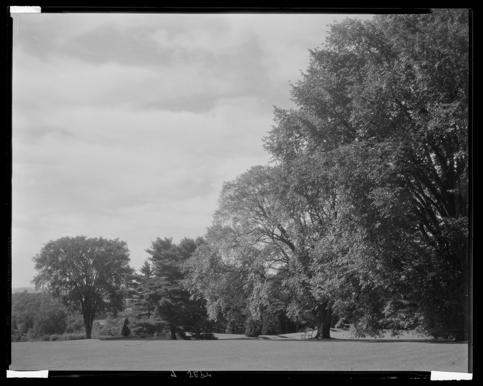 Groton Place: landscape. about 1930–1936.