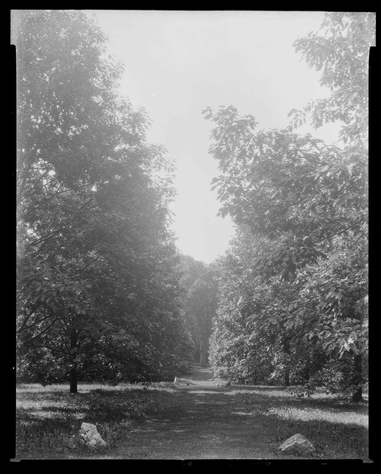 Groton Place: landscape. 1933.