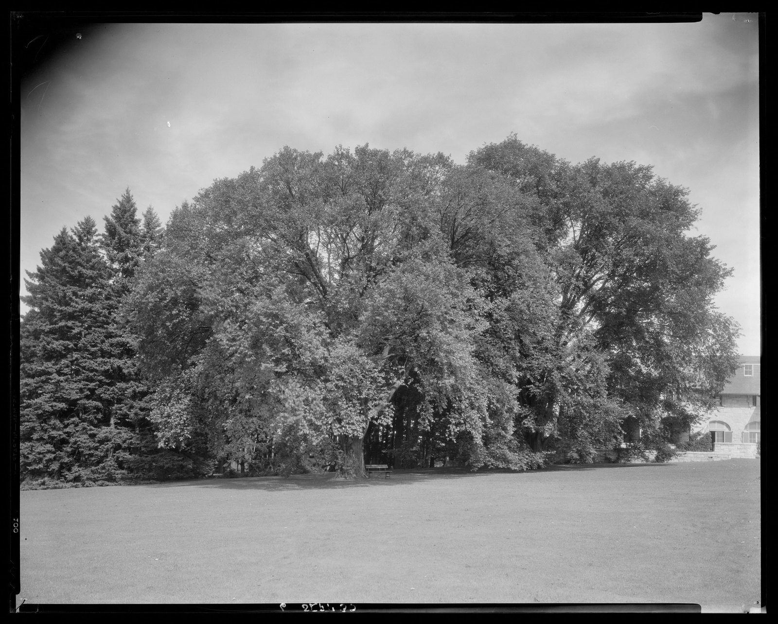 Groton Place: landscape. September 1930.