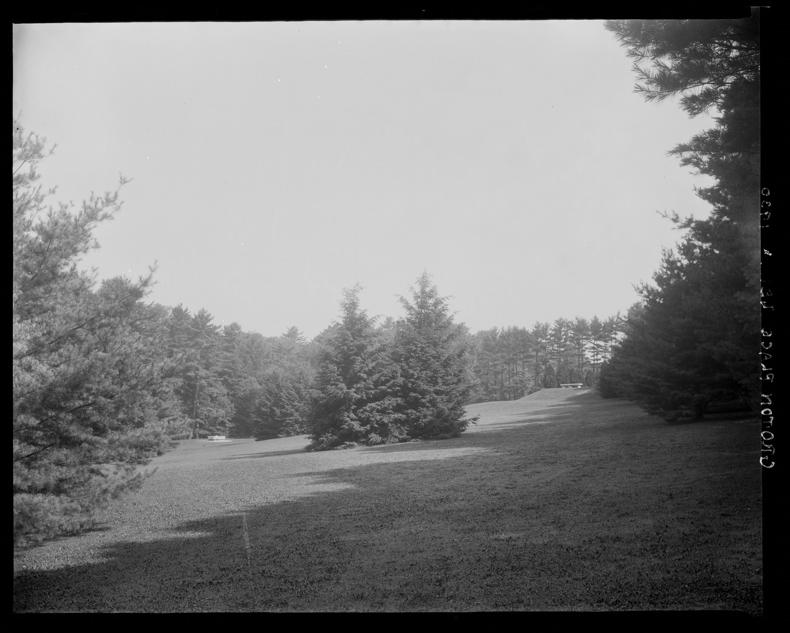 Groton Place: trees in landscape. 1930.