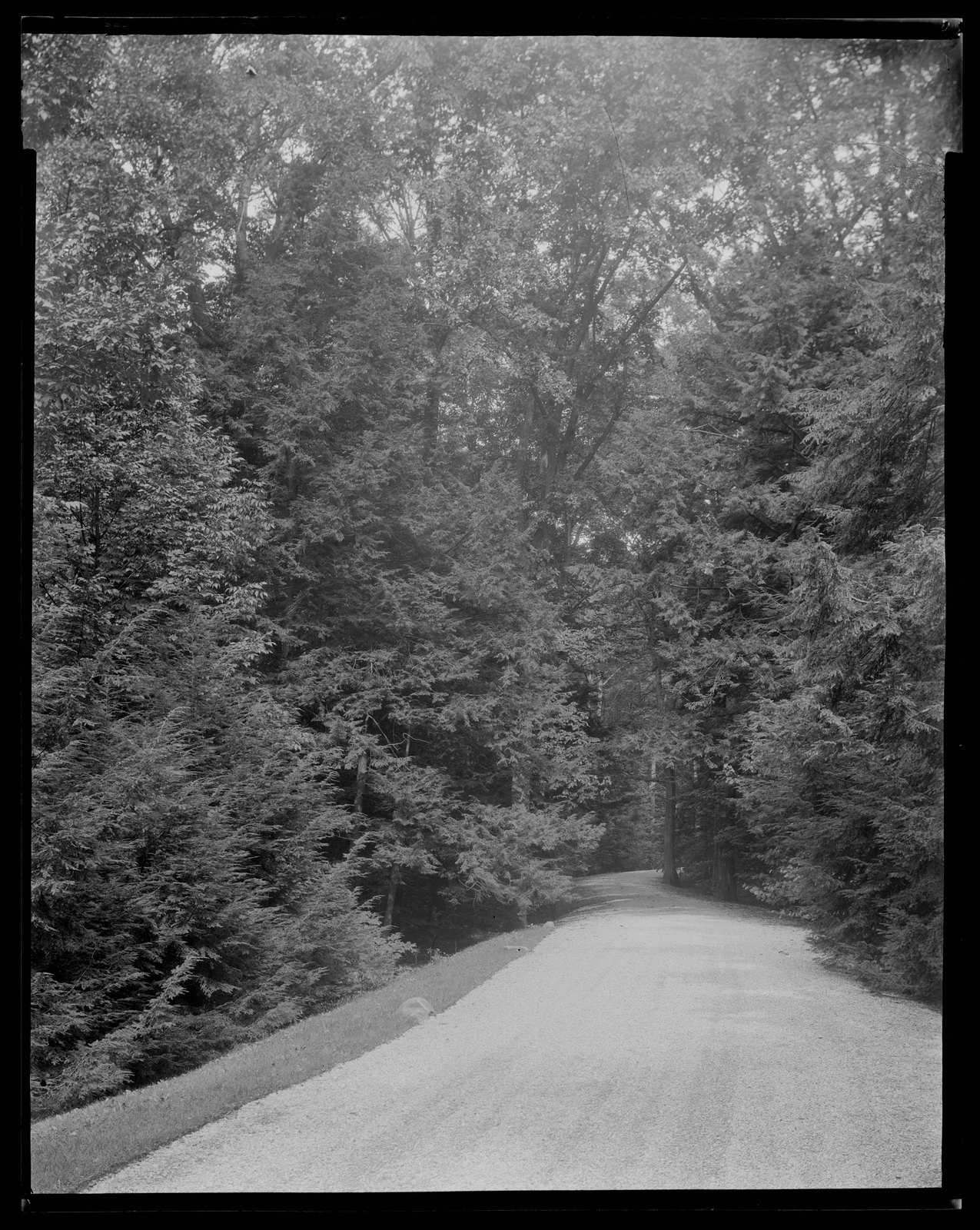 Groton Place: drive. about 1930–1936.