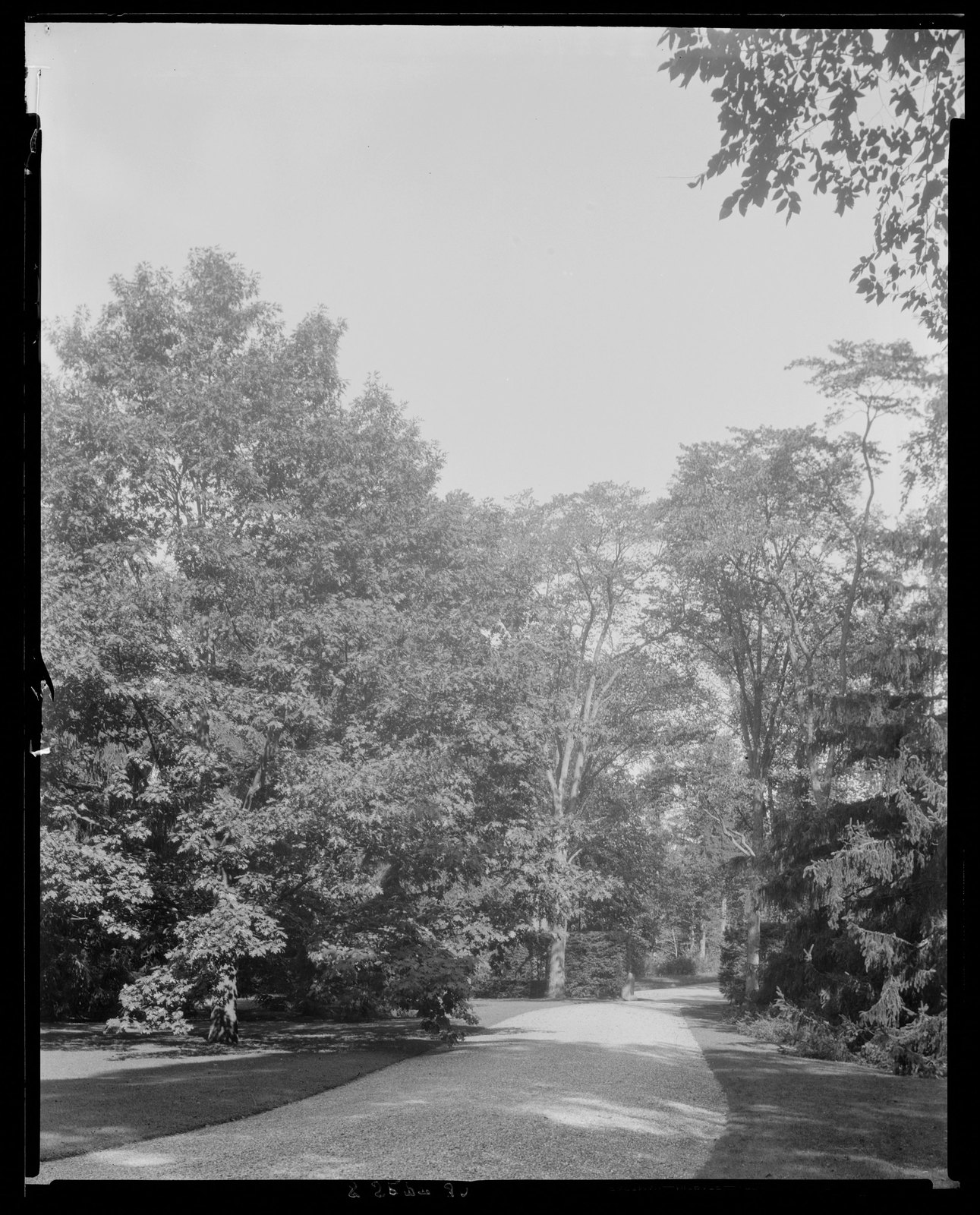 Groton Place: drive. September 8, 1930.