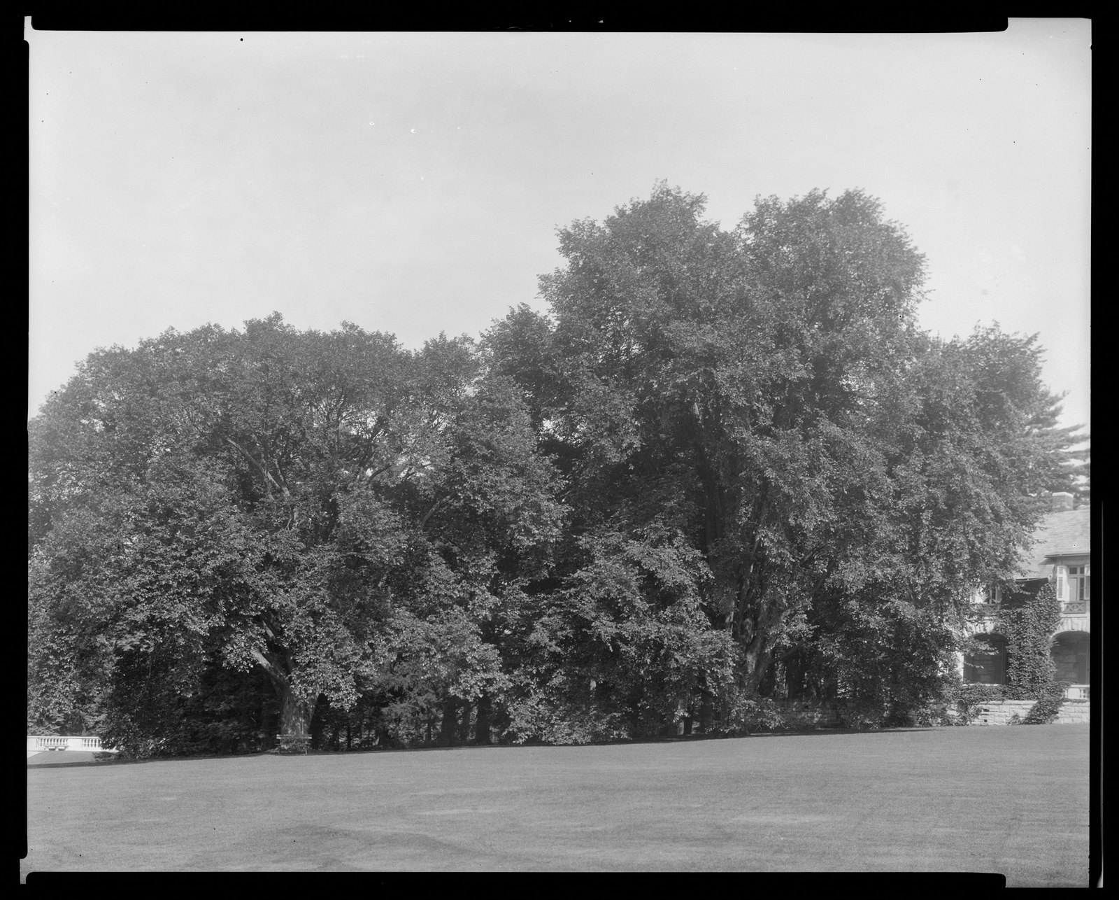 Groton Place: house & grounds. about 1930–1936.