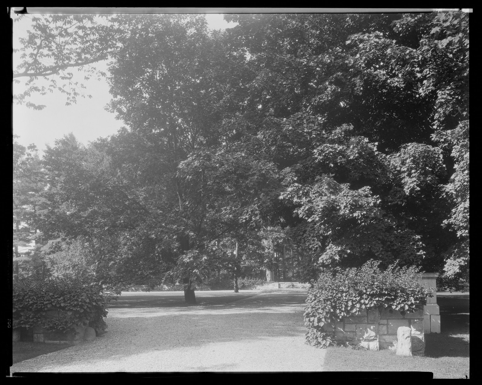 Groton Place: landscape. about 1930–1936.