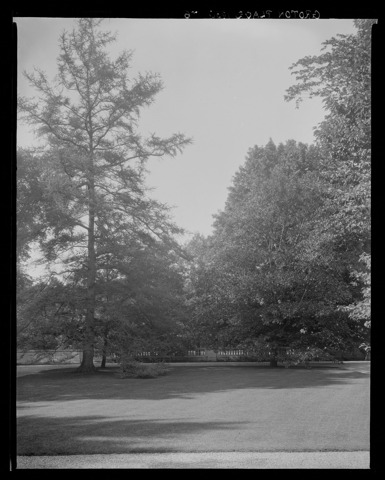 Groton Place: balustrade landscape. 1930.