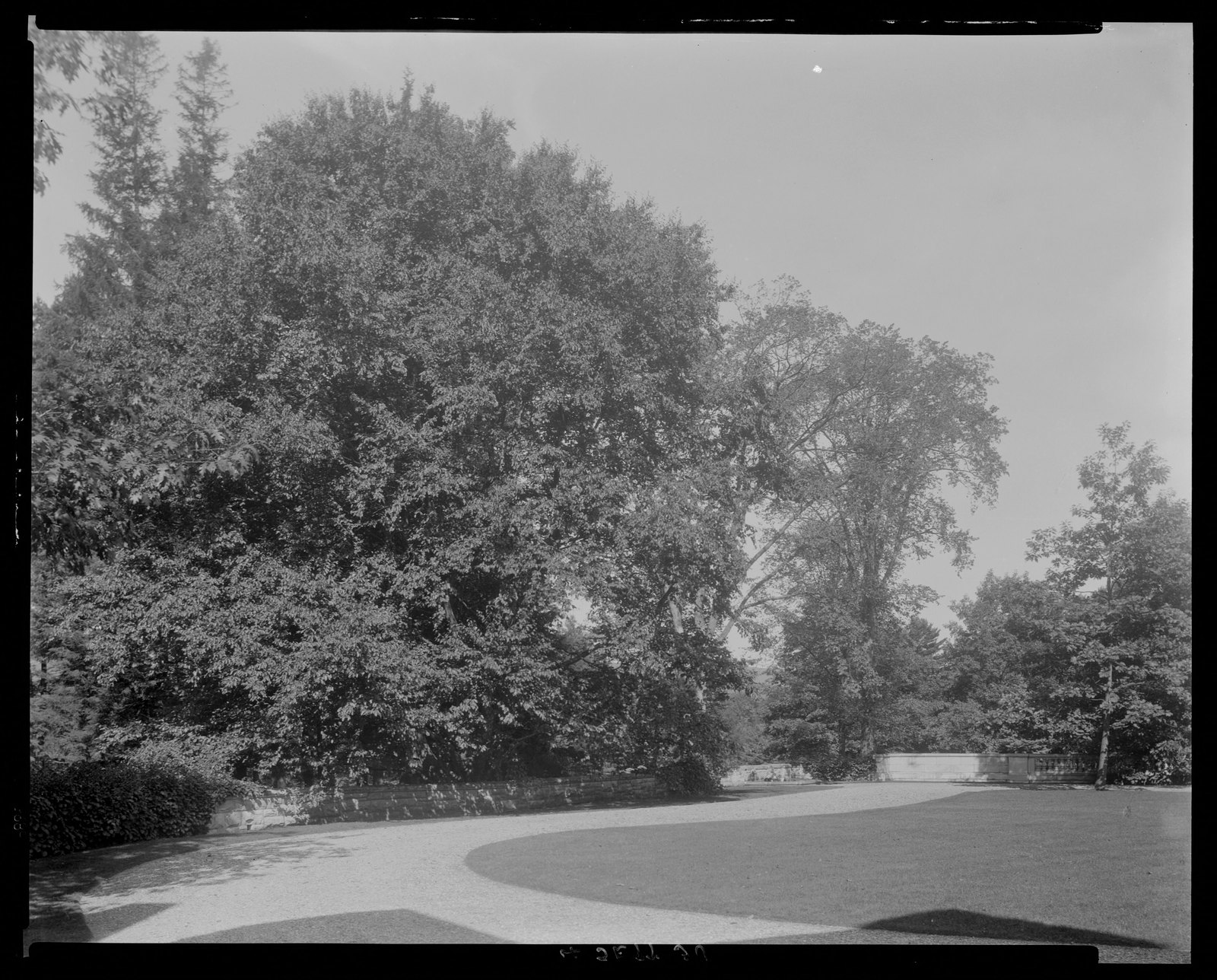 Groton Place: balustrade landscape. September 4, 1930.