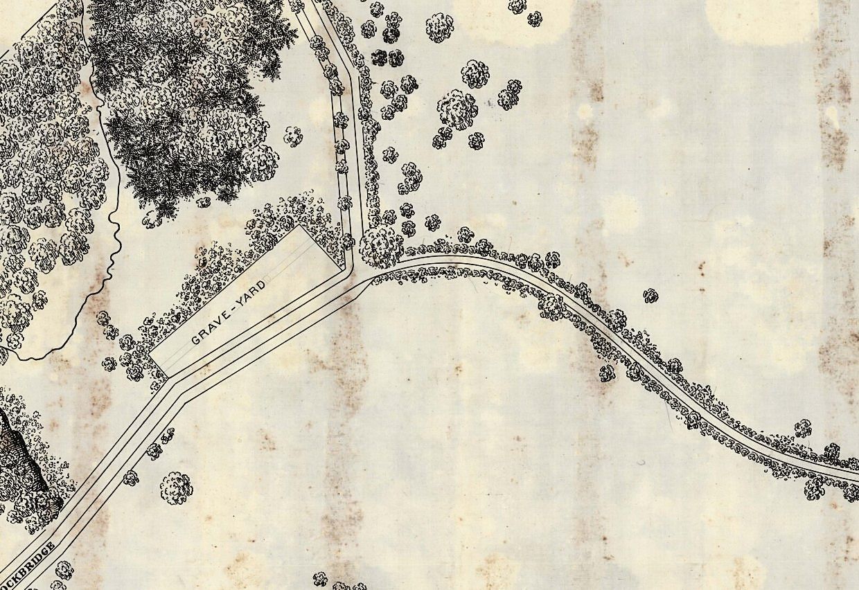 Plan 119, August 1894. The parcel lettered GRAVE-YARD, with the estate's boundary planting carried down both sides of the road past it.
