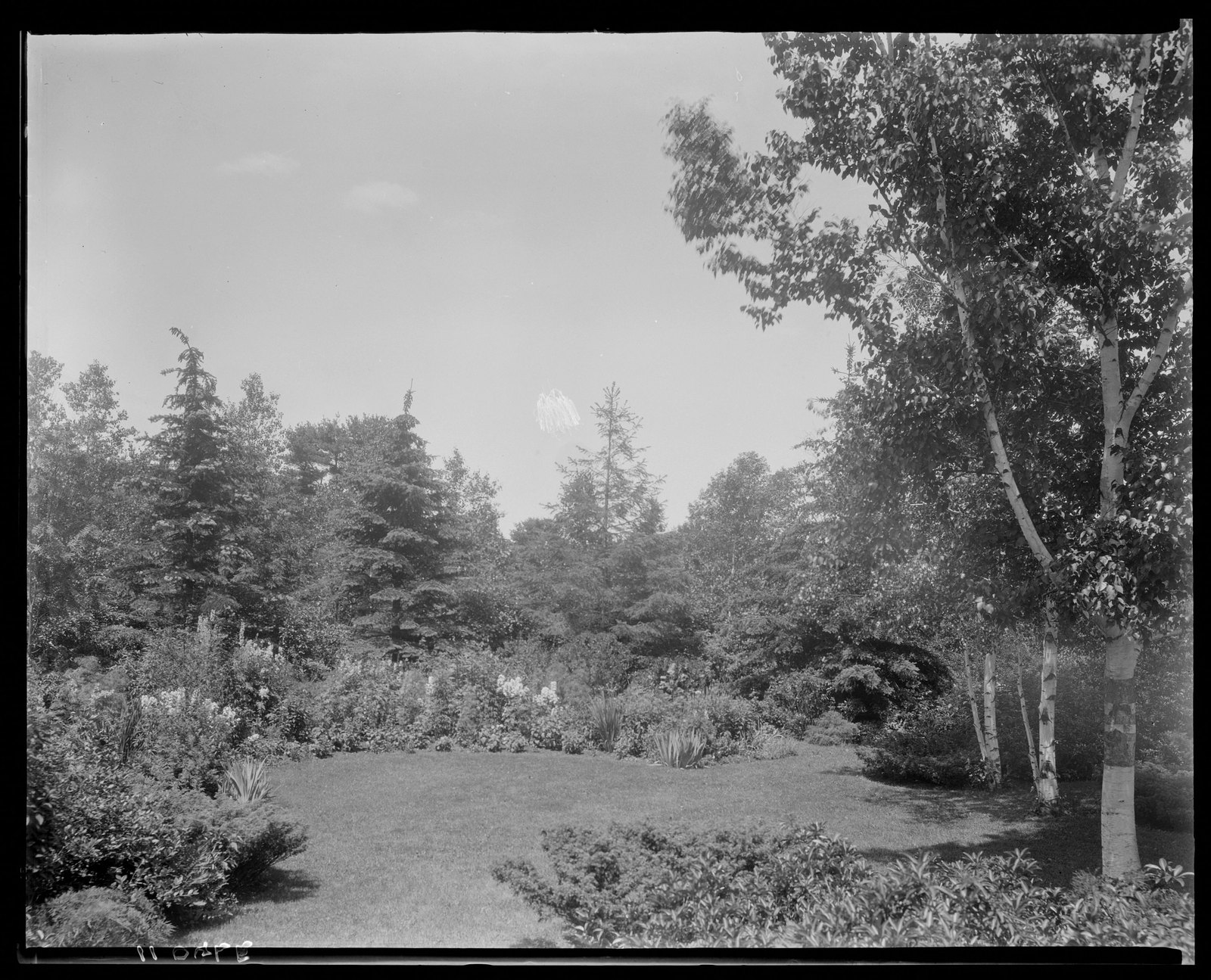 Garden landscape. About 1925–1935.