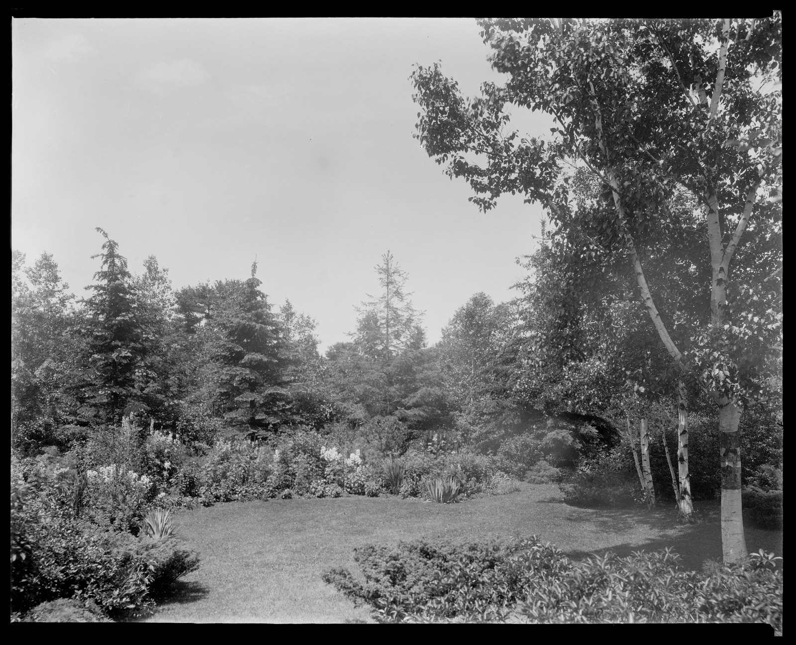 Garden landscape. About 1925–1935.