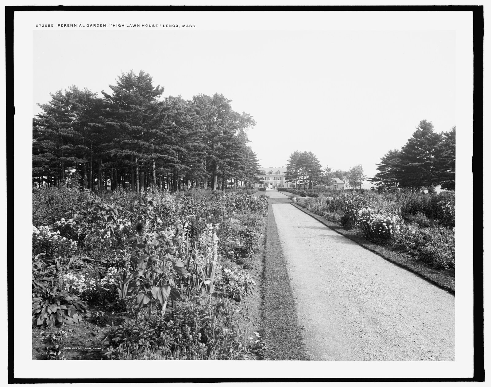 Lettered on the negative: “Perennial garden, “High Lawn House” Lenox, Mass.” Detroit Publishing Company negative 072950. The gravel walk runs two hundred feet between double borders to the house.