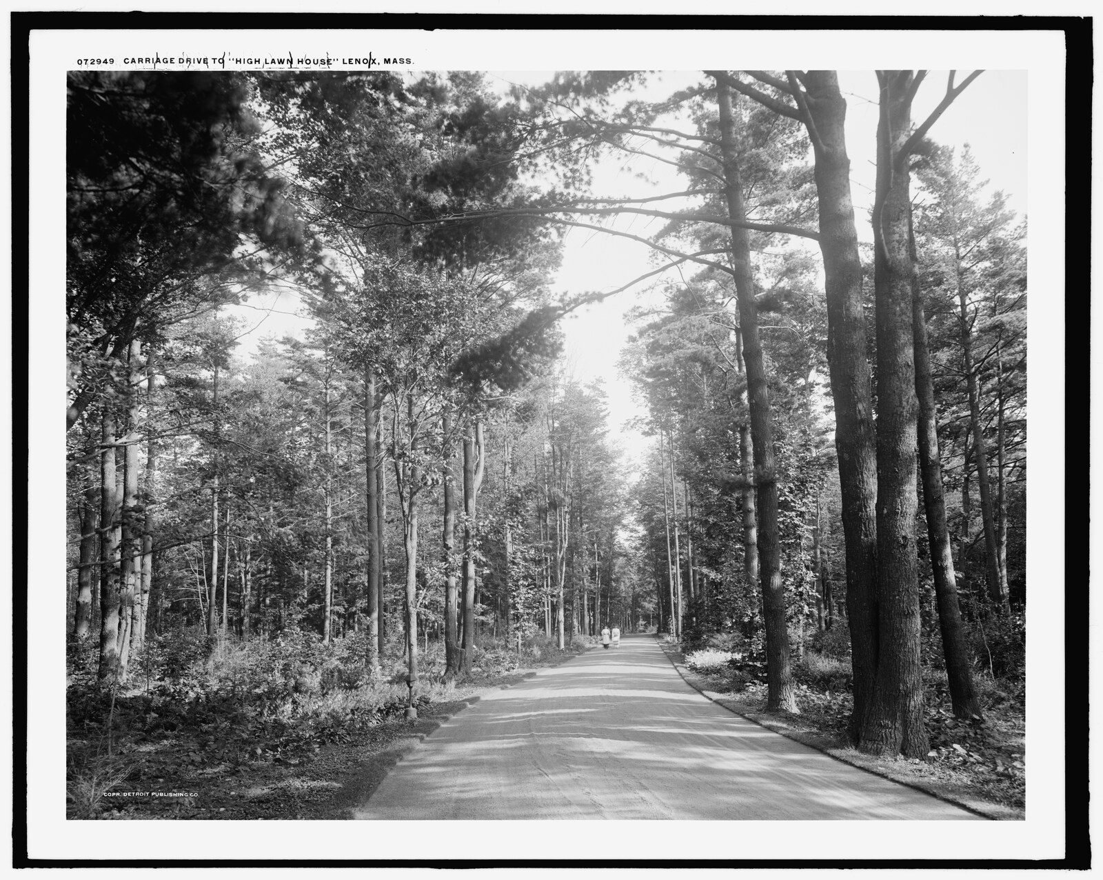 Lettered on the negative: “Carriage drive to “High Lawn House” Lenox, Mass.” Detroit Publishing Company negative 072949. A macadam drive under white pines, with a carriage a long way off.