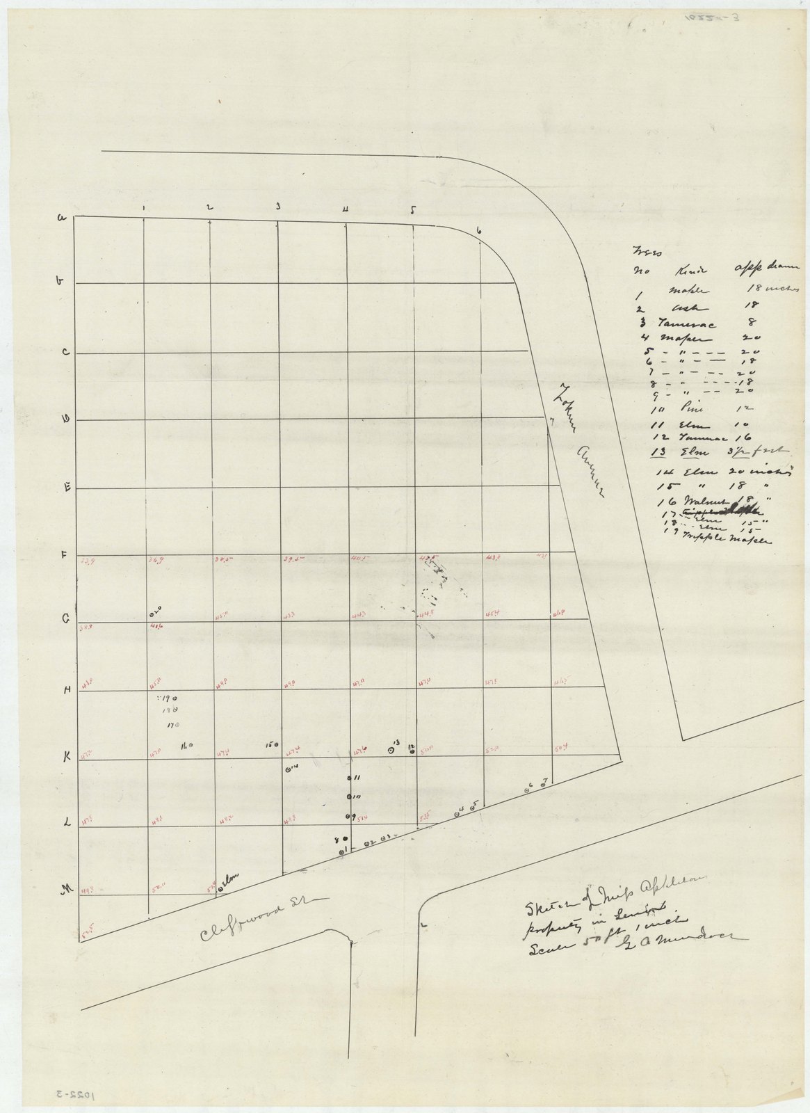 Plan 3, no date. “SKETCH OF MISS APPLETON’S PROPERTY IN LENOX; SCALE 50’=1”.” Inventory note: “INDICATES GRADES; INCLUDES TREE LIST.”
