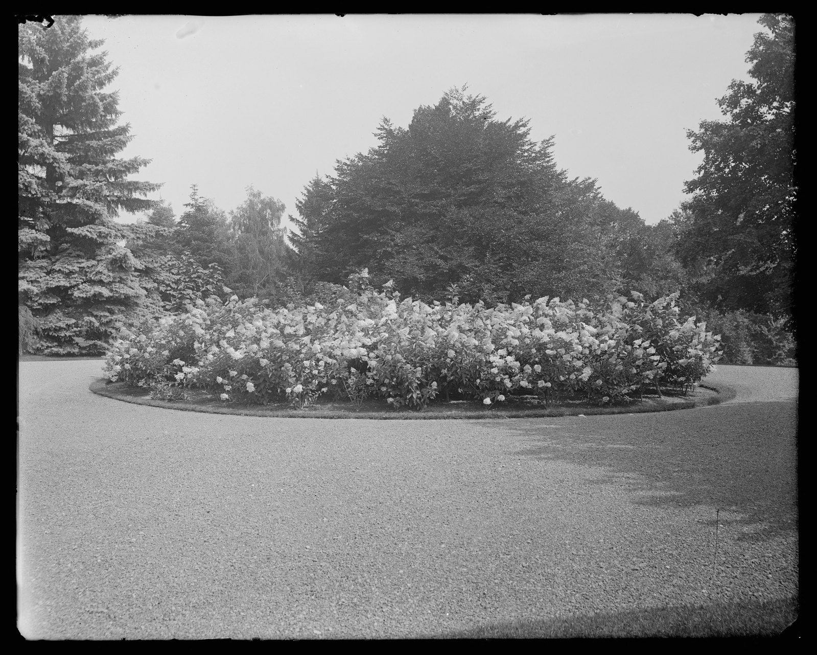 Interlaken: garden. About 1908–1909.