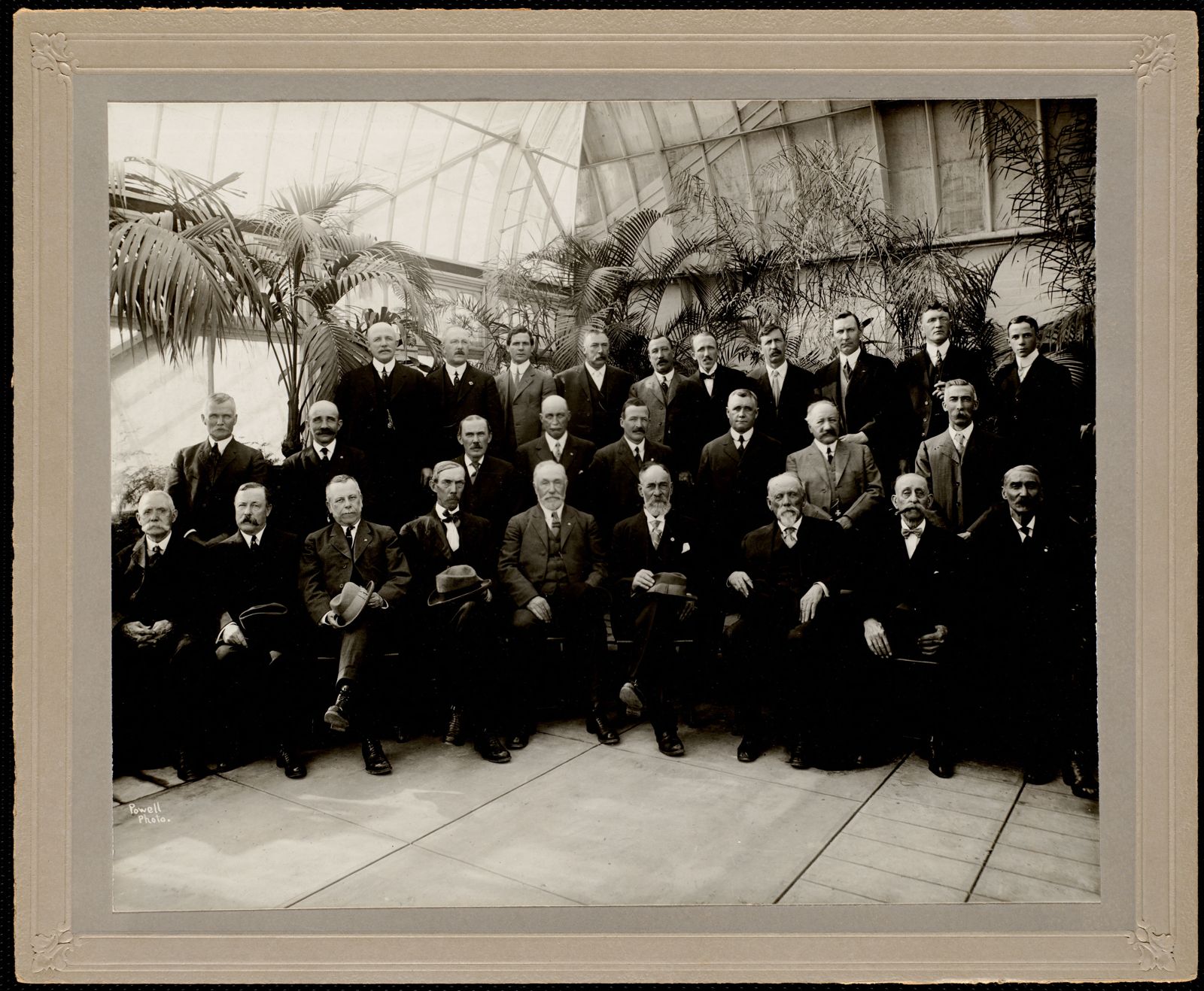 The Lenox Horticultural Society, in a palm house.
