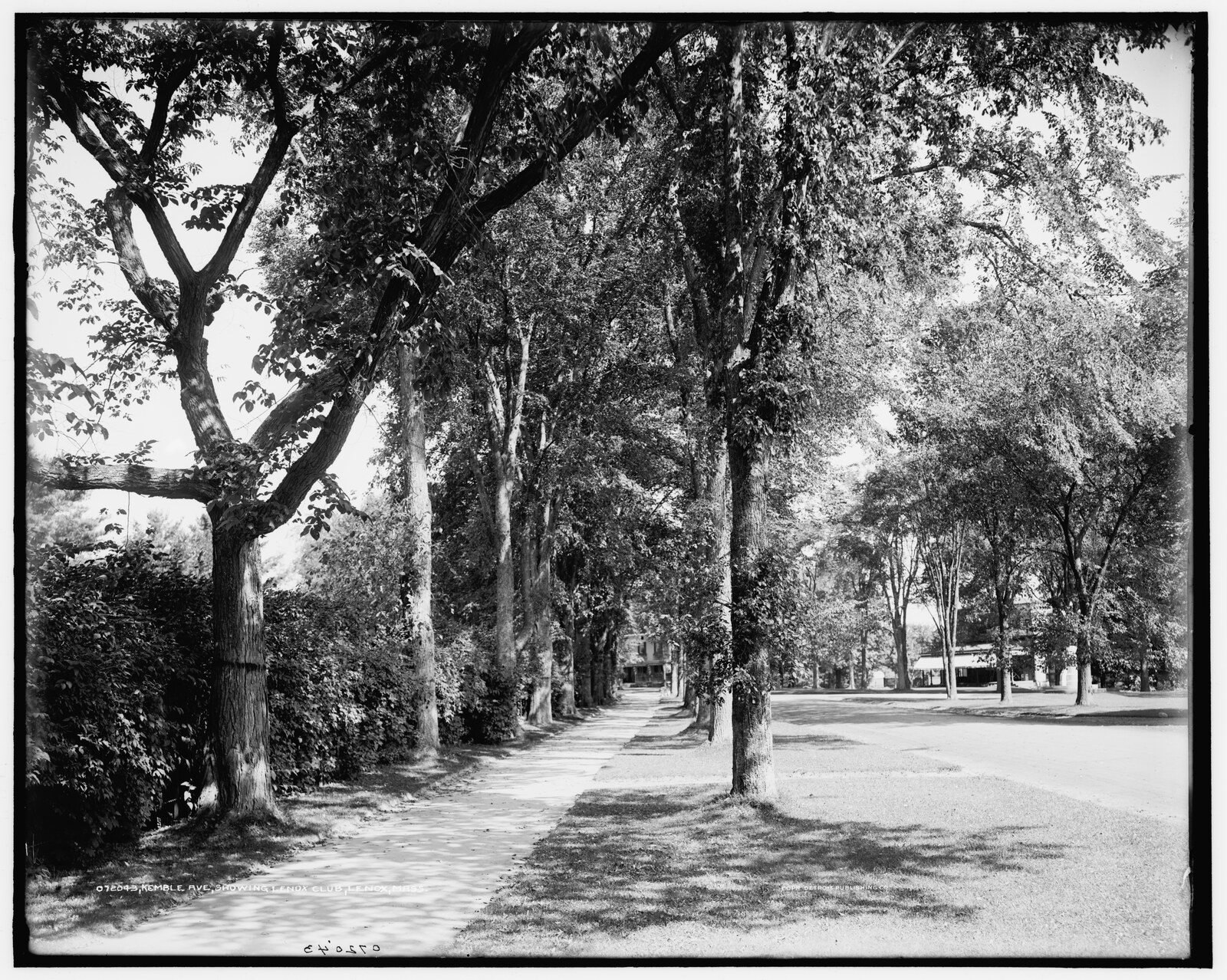 “Kemble Ave. [i.e. Street], showing Lenox Club, Lenox, Mass.” Negative 072043, 1905.