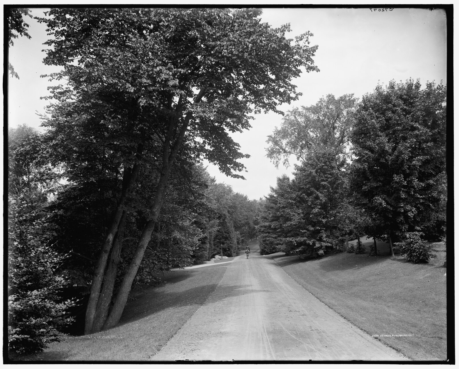 “Yocum Ave. [i.e. Yokun], Lenox, Mass.” Negative 072047, 1905.