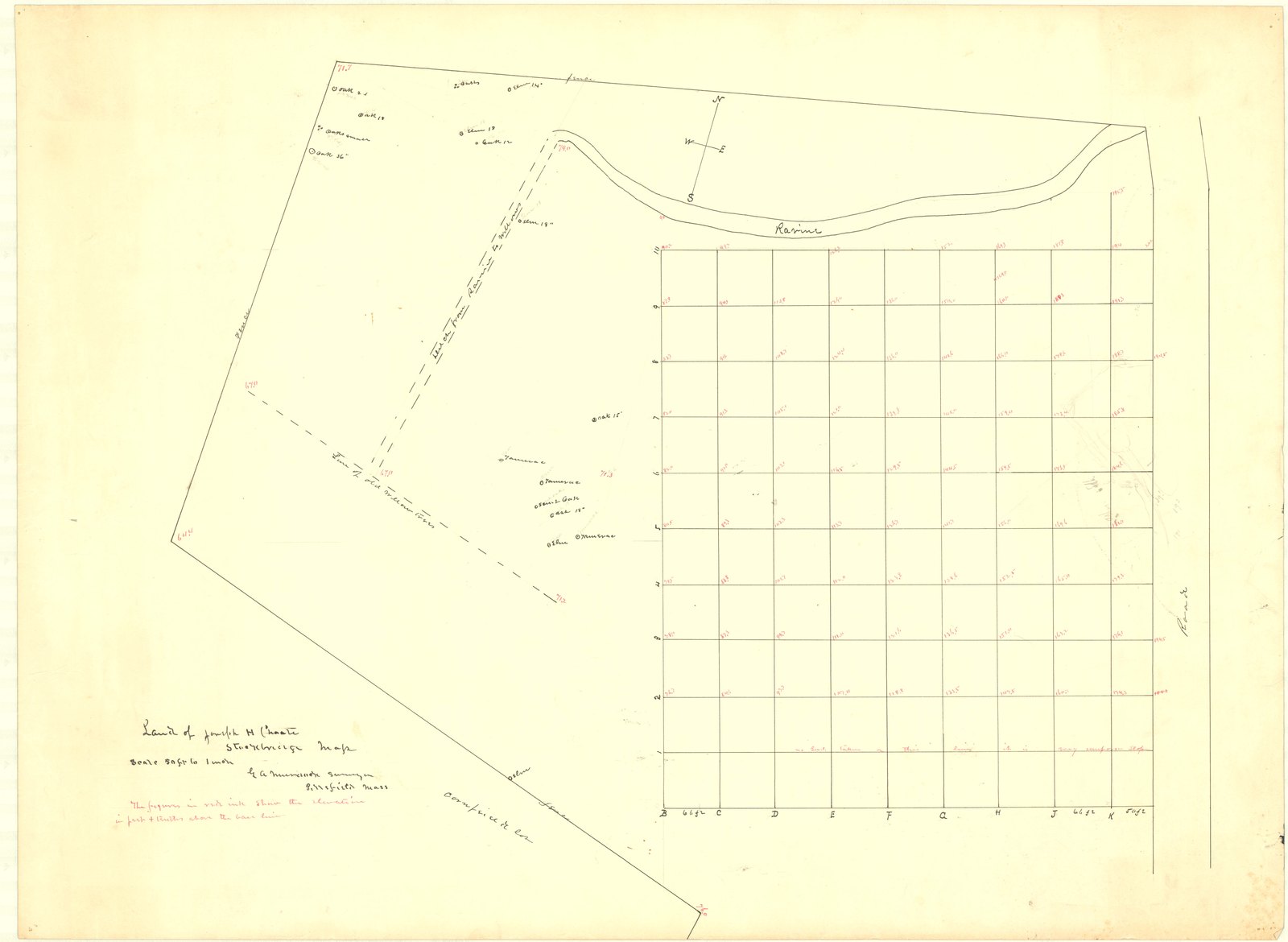 Survey of the property. The title block reads “Land of Joseph H Choate / Stockbridge Mass / Scale 50 ft to 1 inch / G. A. Murdock Surveyor / Pittsfield Mass,” and in red: “The figures in red ink show the elevations in feet + tenths above the base line.”