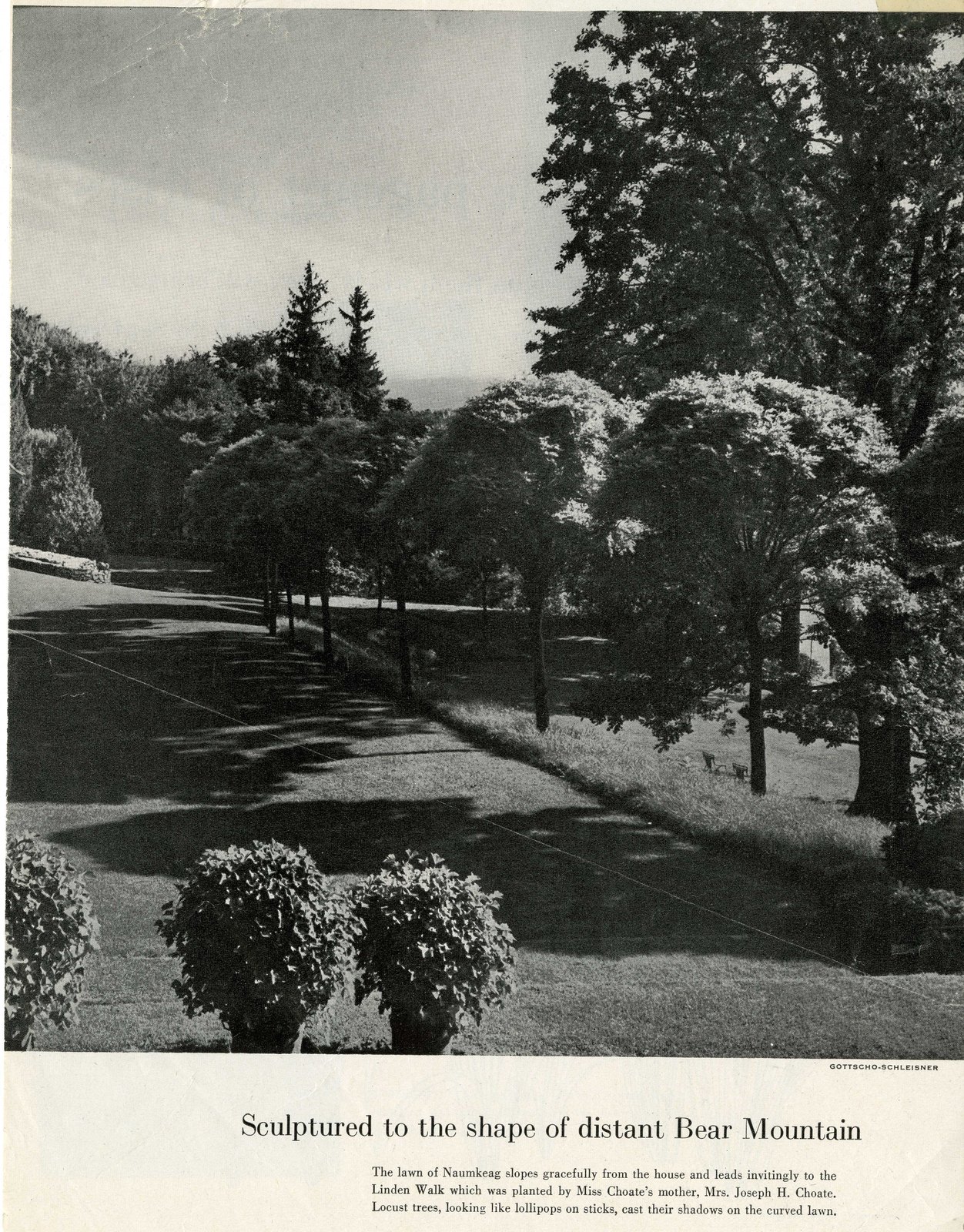 Third page, carrying the Blue Steps under a caption that does not yet call them that: “MODERN STEPS, painted blue, descend in easy stages through a grove of silver birches to the picking garden. On each of its landings, there is a little waterfall.”