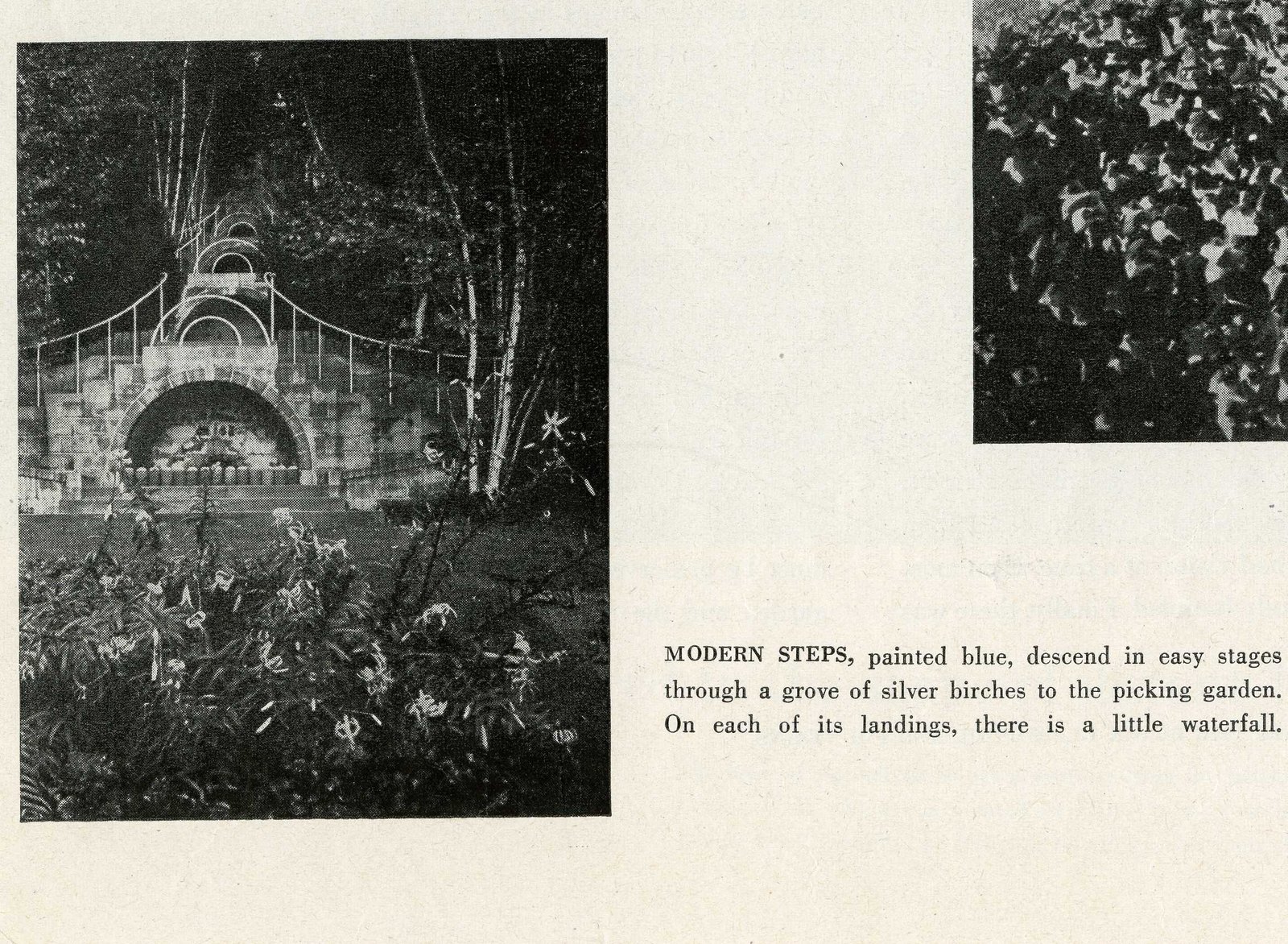 “COLORED PEBBLES AND COAL: A GIDDY CARPET FOR THE LOGGIA” — the Afternoon Garden.