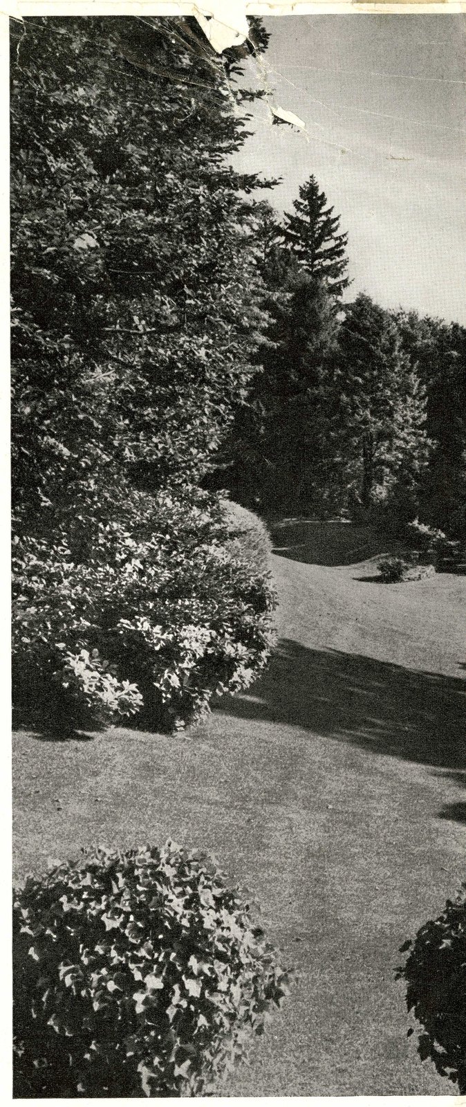 The Blue Steps, and a detail of the planting beside them.