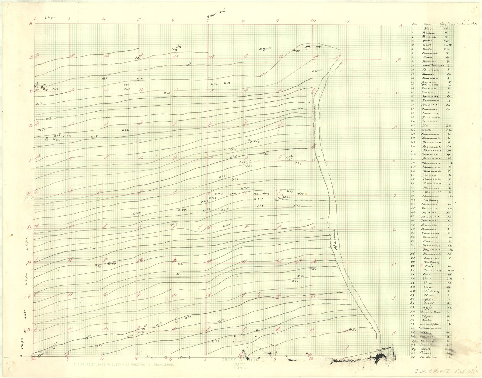 Topographic section drawn on printed graph paper — “PUBLISHED BY JAMES W. QUEEN & CO. CHESTNUT ST. PHILADELPHIA” — with the elevations figured in red and the base marked “Line of Road.” Olmsted job 01016.