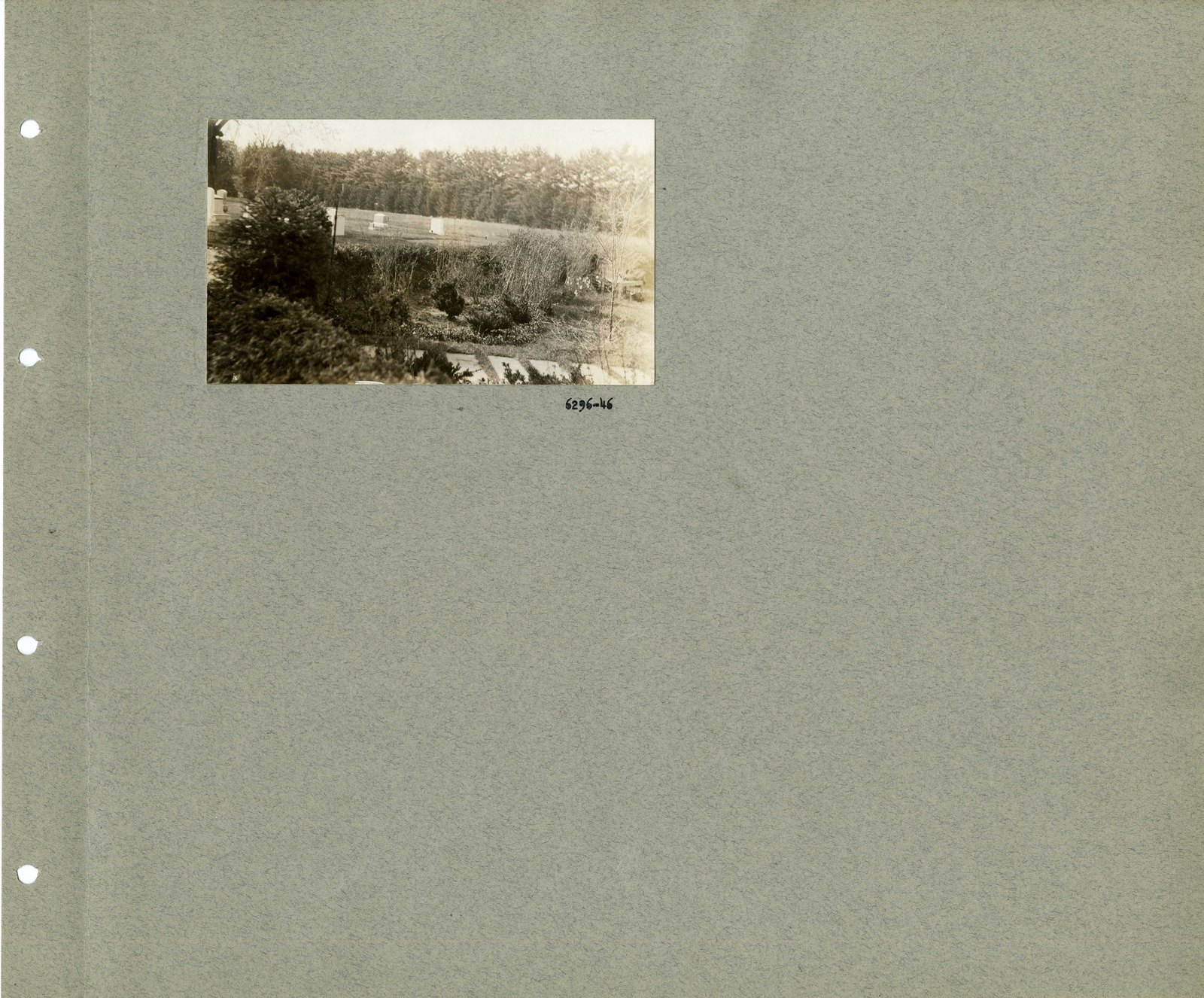 Album page: the last view in the album.