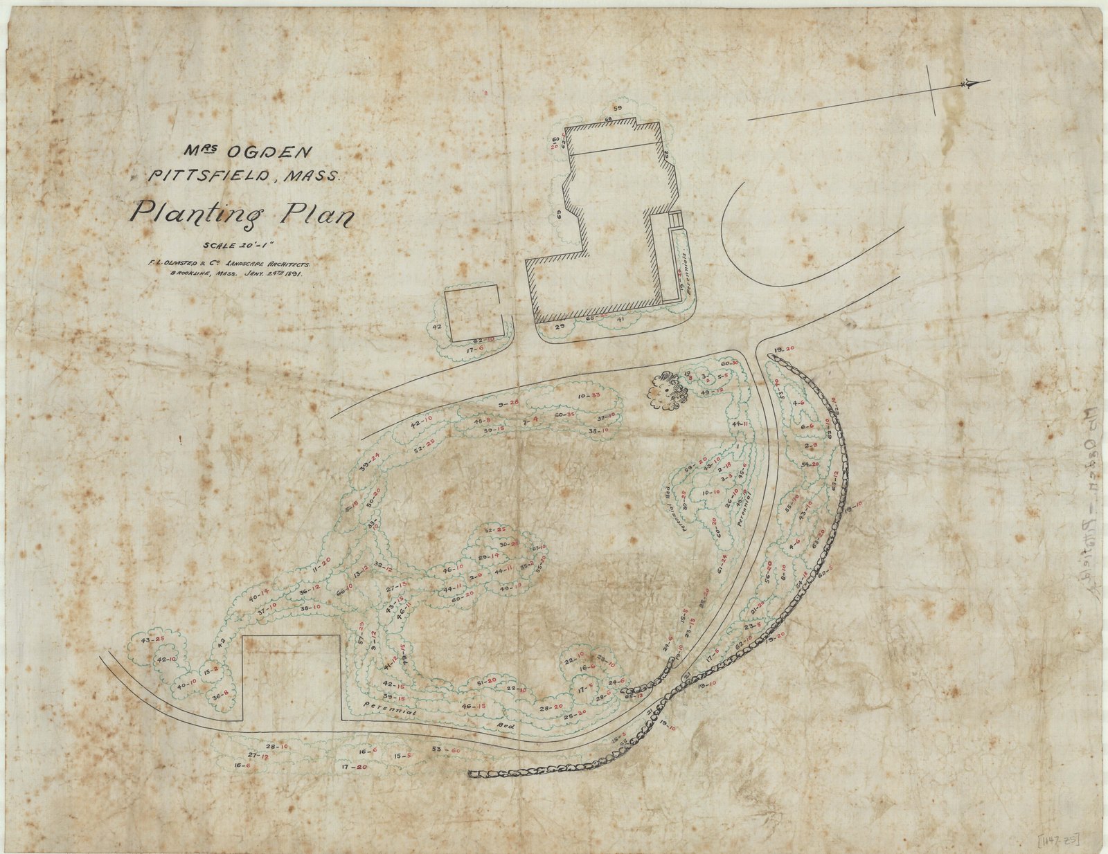 Job 01147, plan Z5, 24 January 1891. “Mrs. Ogden / Pittsfield, MA. / Planting Plan. Scale 20’ = 1”.”
