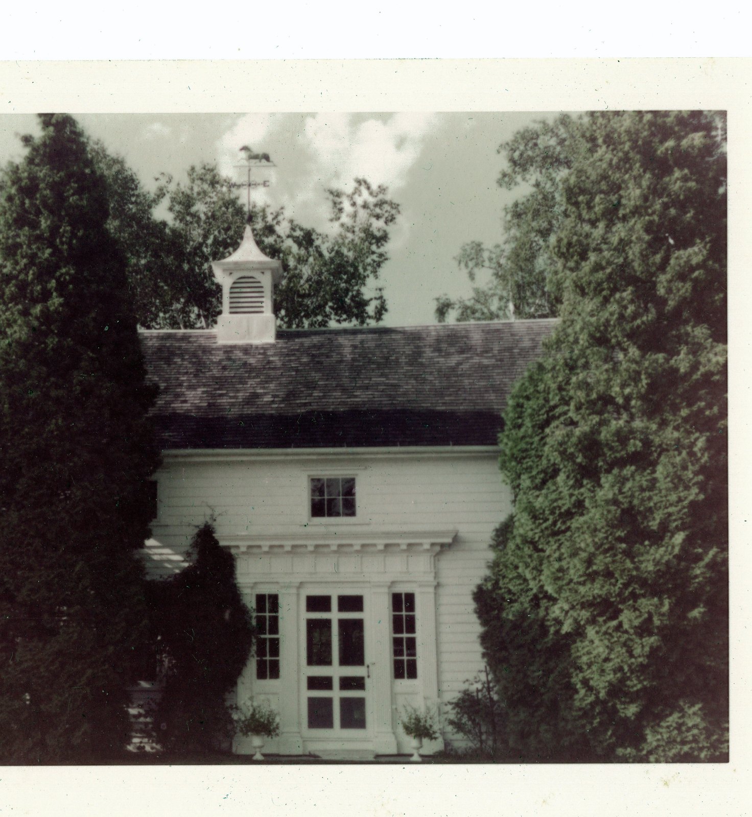 A colour print of the house behind two conifers. The print had faded to a single magenta cast; the colour balance has been restored here and the uncorrected scan is kept with the originals.