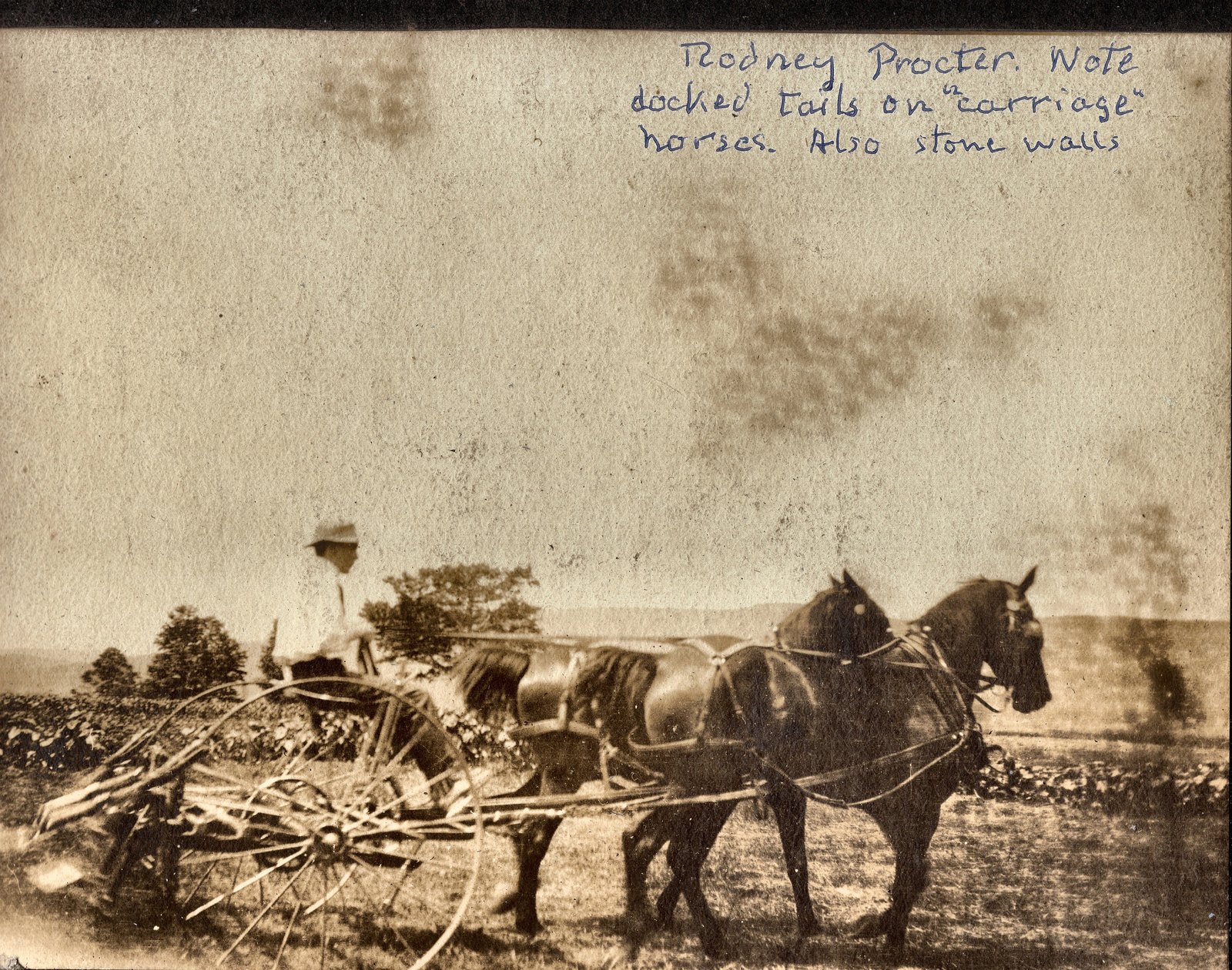 Rodney Procter. Note docked tails on carriage horses. Also stone walls. July 1906.