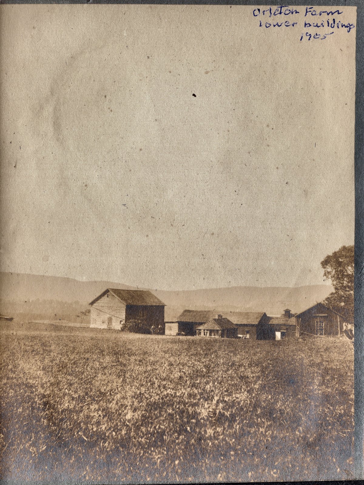 Orleton Farm, lower buildings, 1905. The caption is in ink on the album page above the print, and is the earliest dated use of the farm’s name found anywhere.