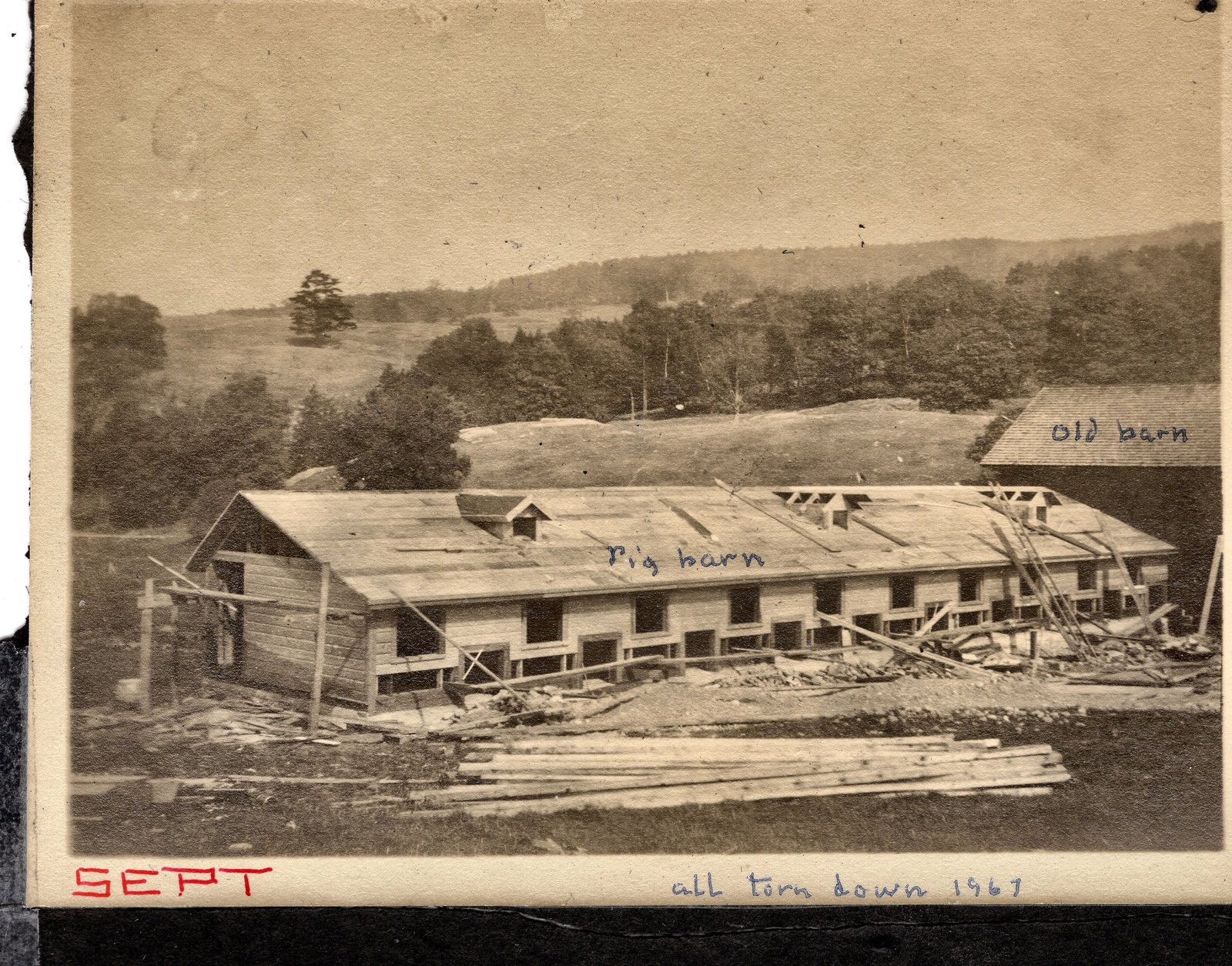 The pig barn going up, with the old barn beyond it. Stamped SEPT on the mount; a later hand has added all torn down 1961.