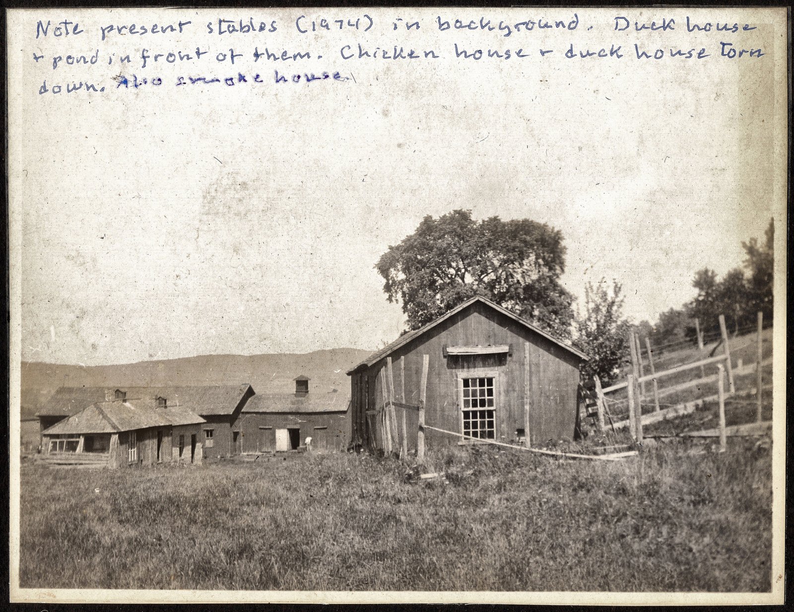Note present stables (1974) in background. Duck house and pond in front of them. Chicken house and duck house torn down. A later hand, annotating a photograph taken about 1905.
