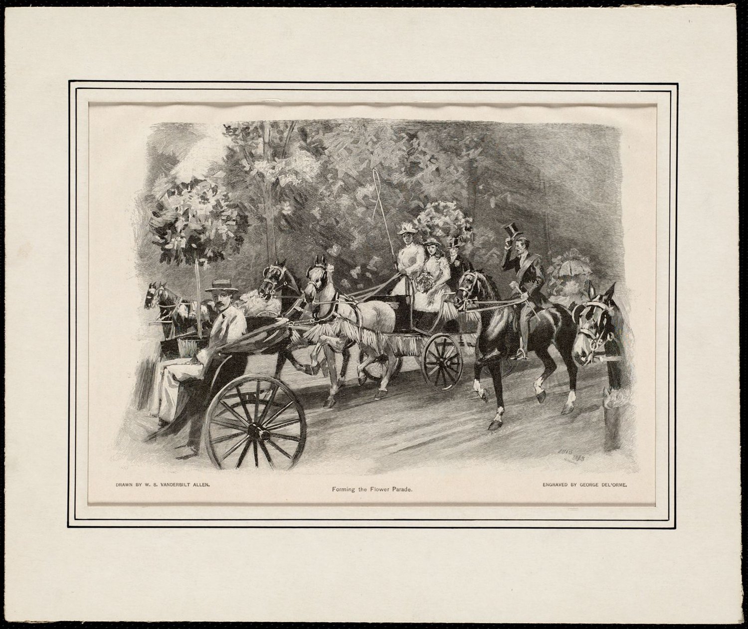 Tub Parade: Forming the flower parade. 1893.