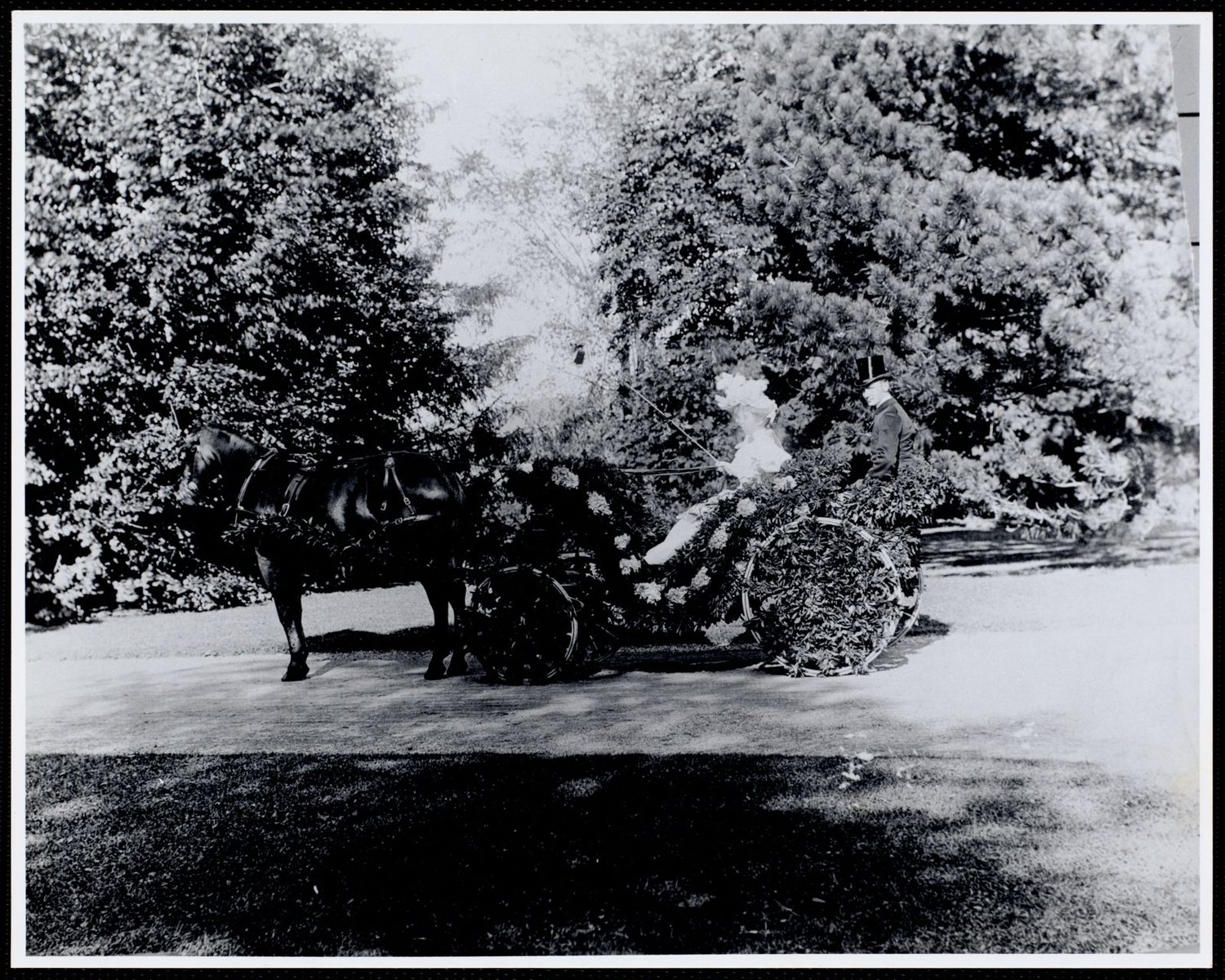 Tub Parade. 1894. A flower-covered tub cart, a pair in harness, and two people in the seat.