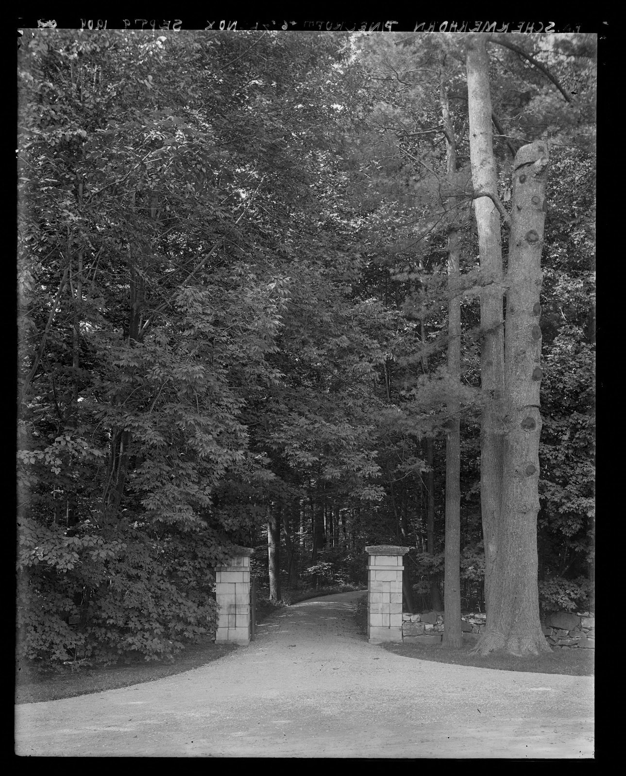 Gate + drive. September 9, 1909.