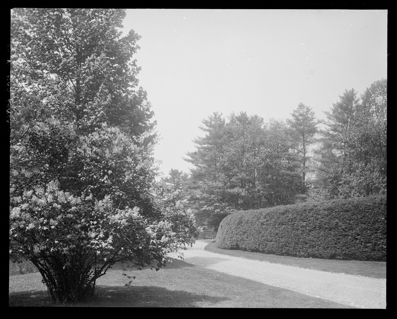 Drive. About 1908–1919.