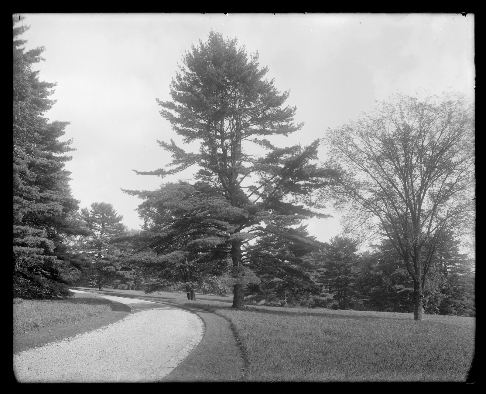 Drive. About 1908–1919.