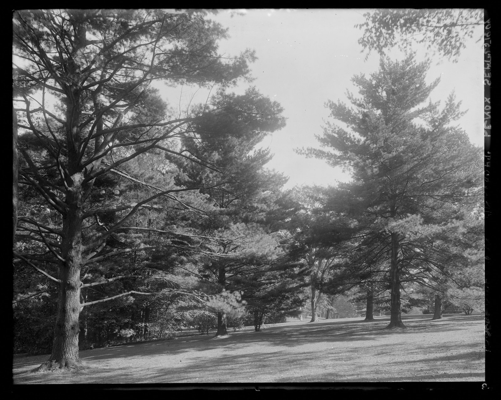 Park. September 25, 1909.