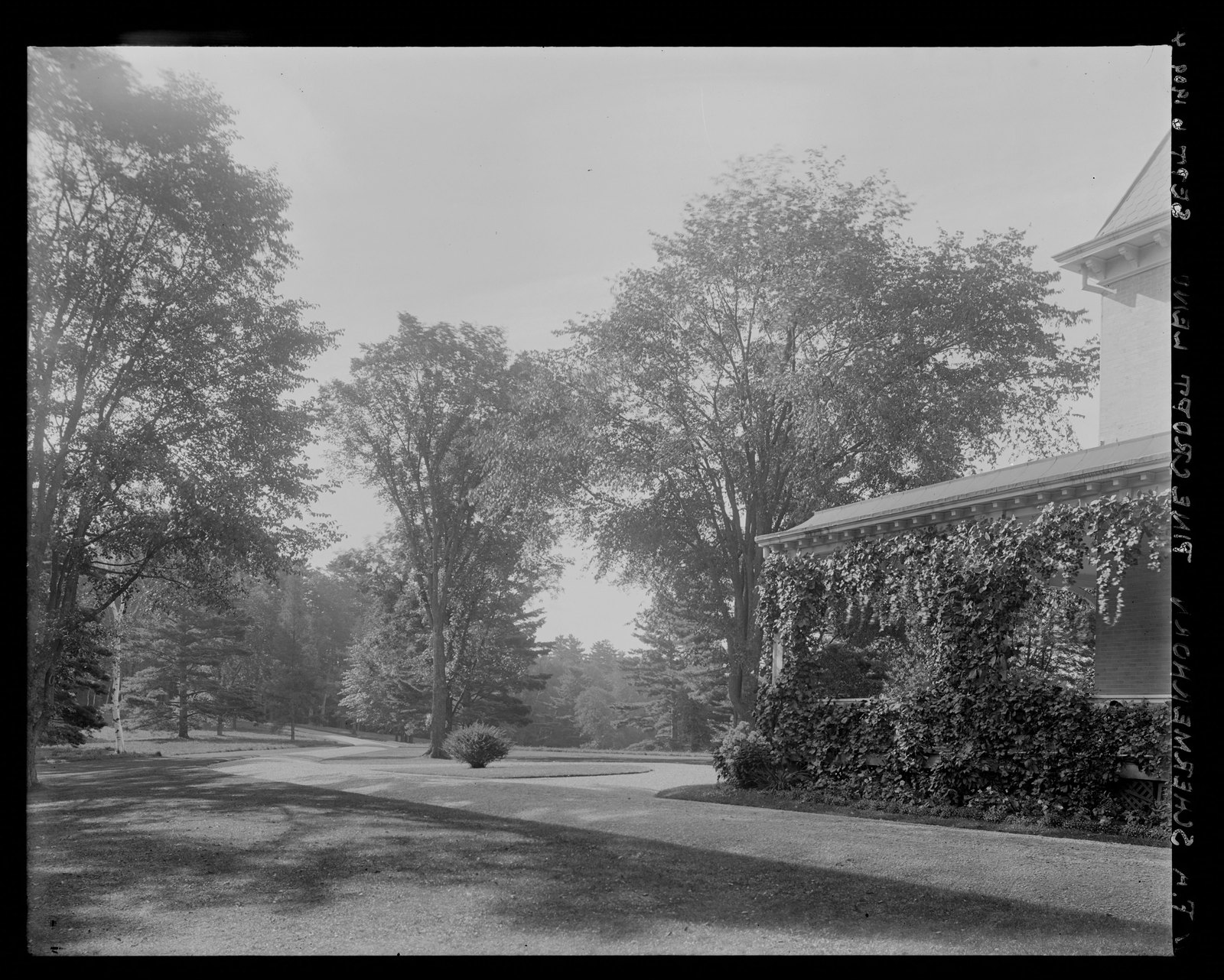 Grounds. September 6, 1909.