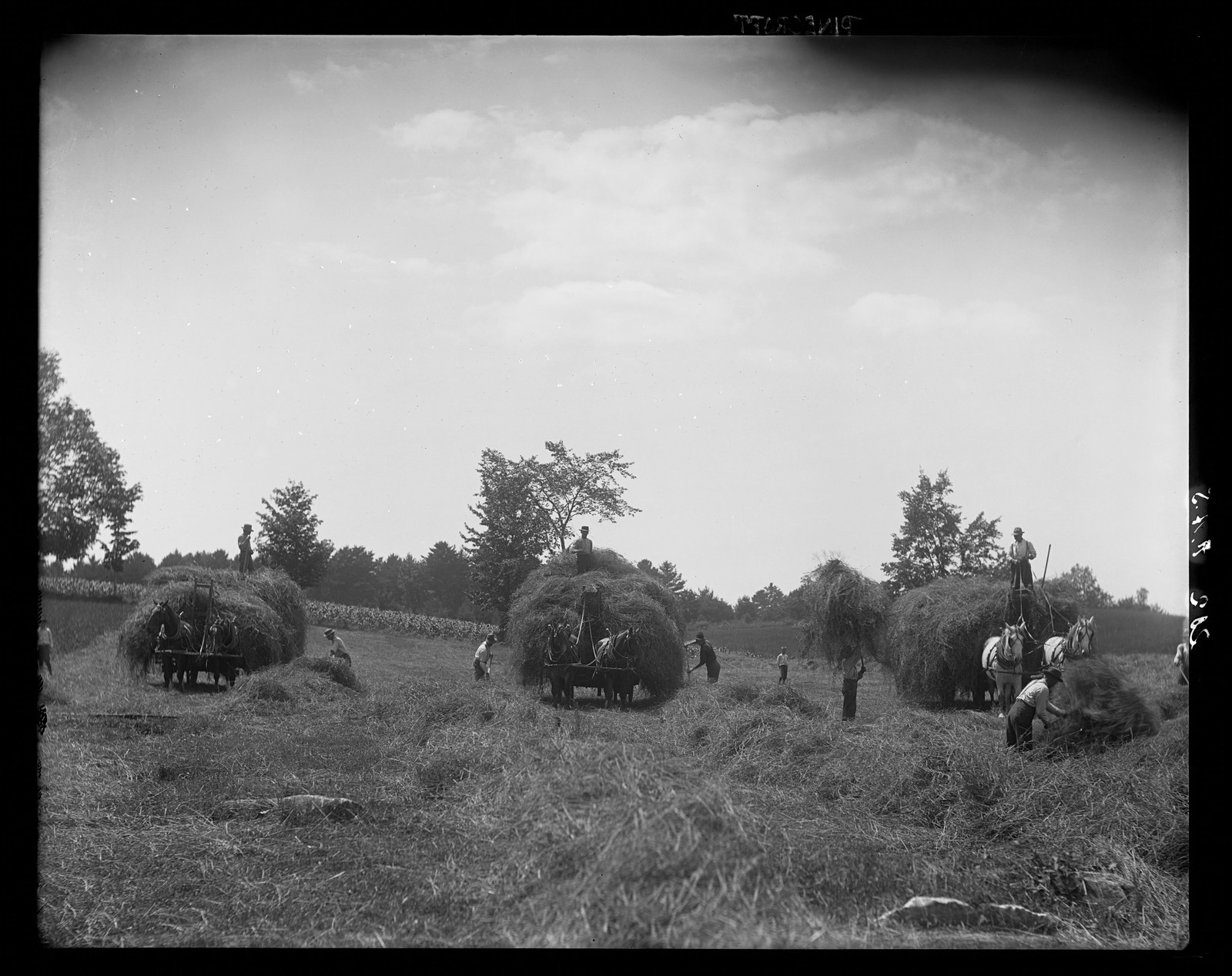 Loading hay. June 10, 1918.