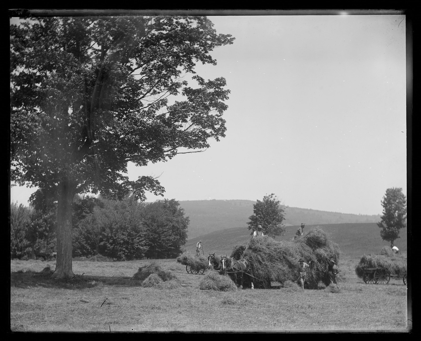 Loading hay. About 1908–1919.