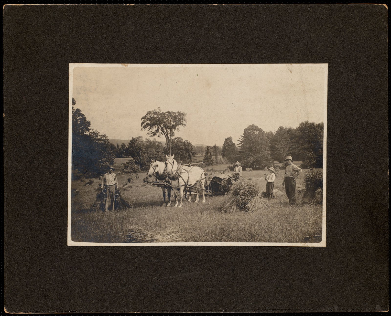 Haying. About 1908–1918.