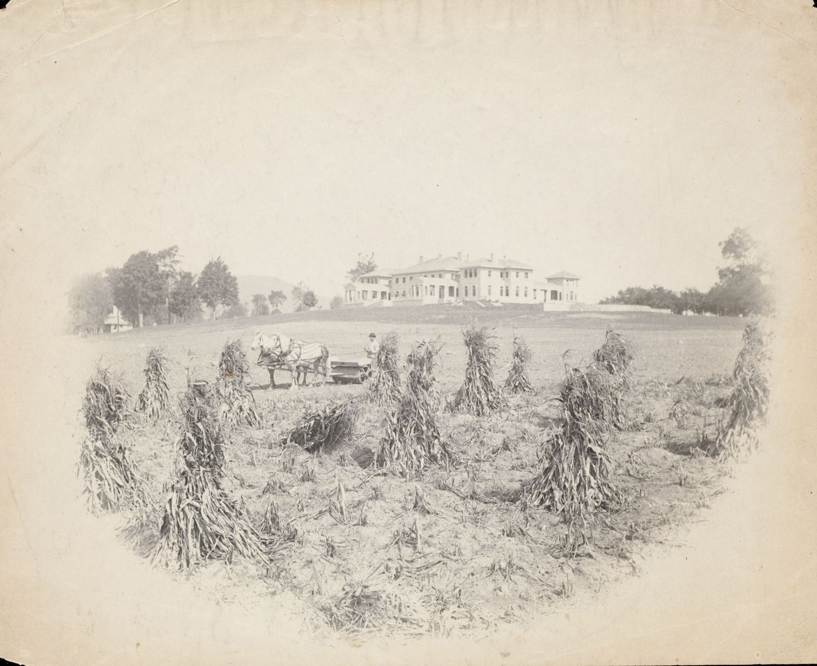 Corn being harvested in front of the house. The farm did not stop when the mansion arrived — it went on around it. Lenox Library Association, Local History Photograph Collection, via Digital Commonwealth. CC BY 4.0.